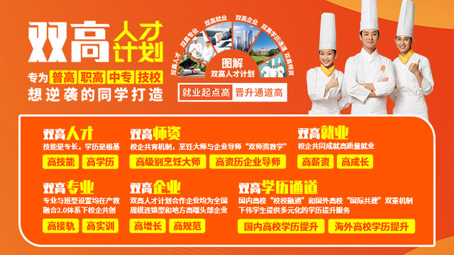 双高人才计划