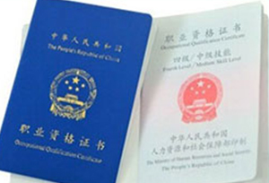 国家承认职业资格证书图1